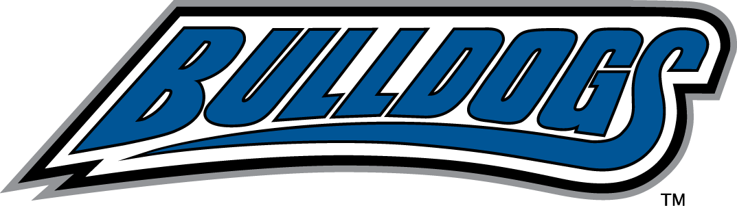 North Carolina Asheville Bulldogs 1998-Pres Wordmark Logo v2 diy iron on heat transfer